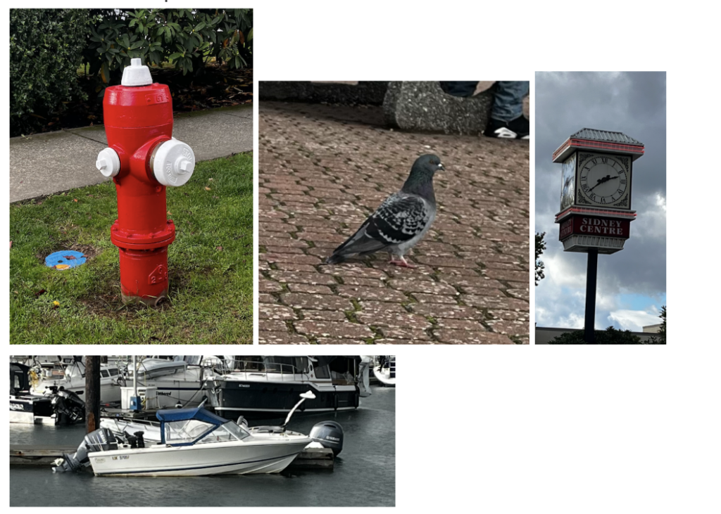 Reference photos of urban objects